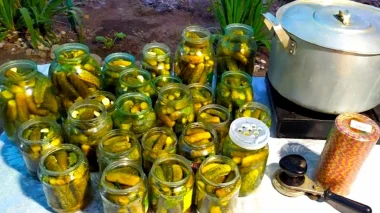 Секрет свекрухи: закарпатські огірочки, якими ви підкорите всіх!